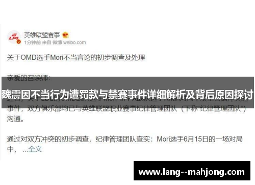 魏震因不当行为遭罚款与禁赛事件详细解析及背后原因探讨